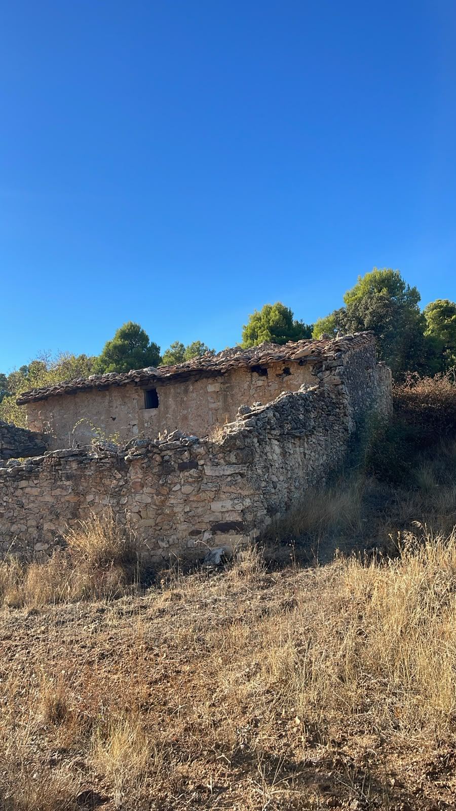 Land Fuentespalda (12)