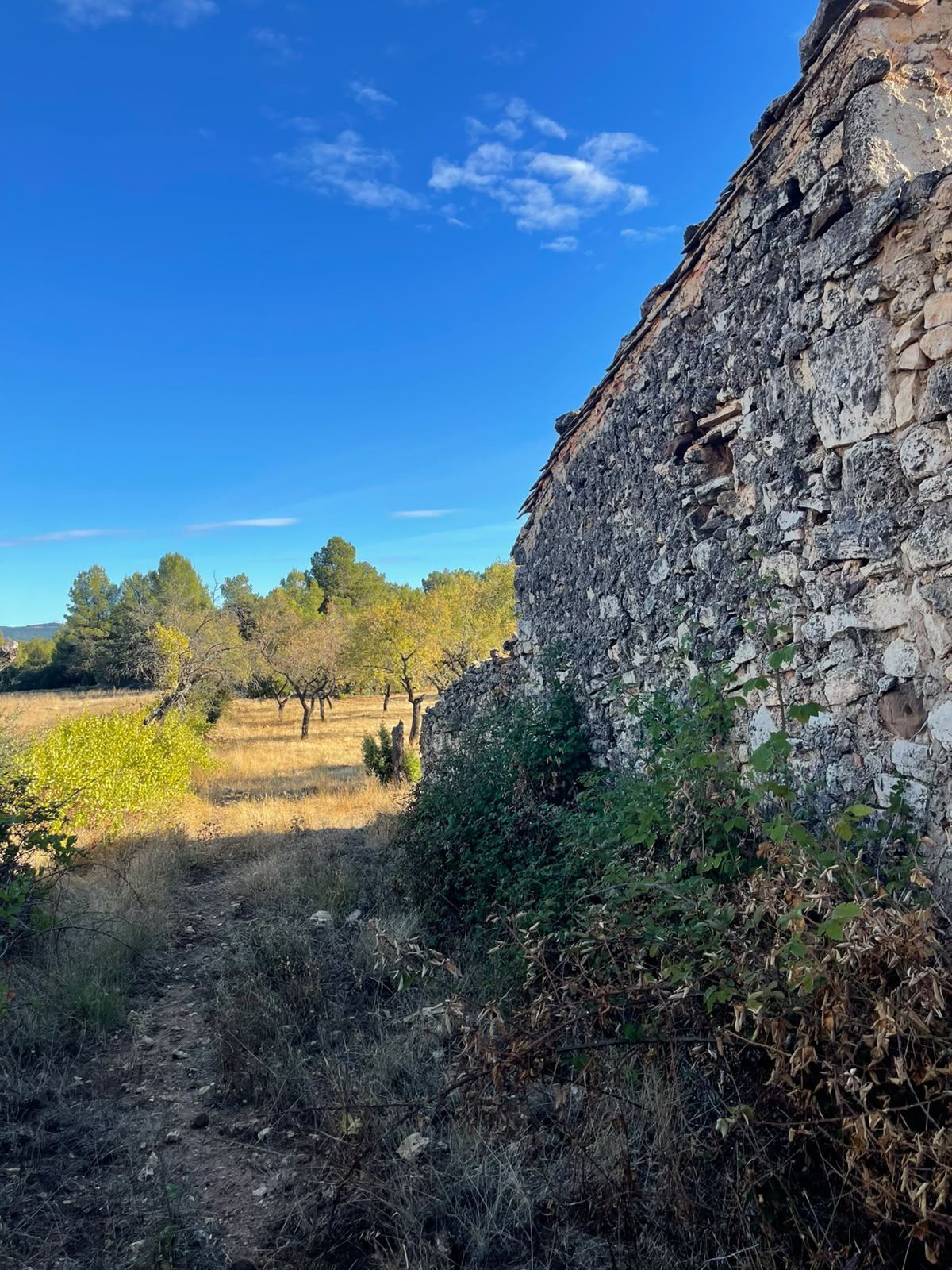Land Fuentespalda (13)