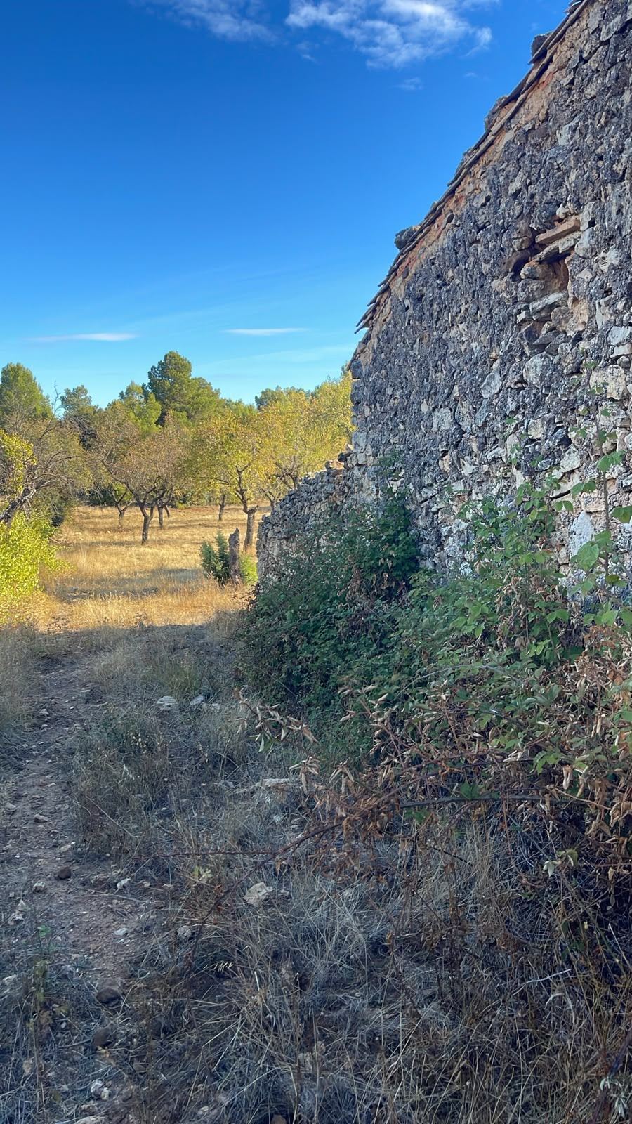 Land Fuentespalda (14)
