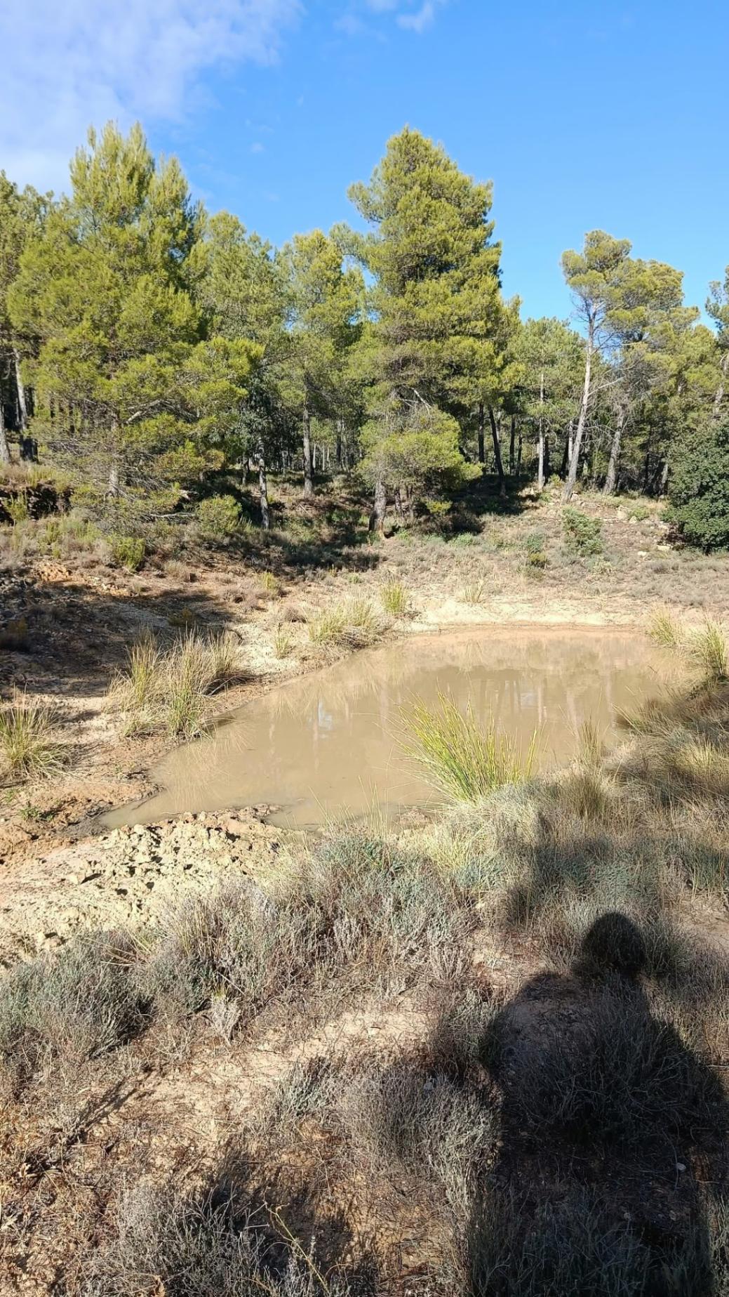 Land Fuentespalda (3)