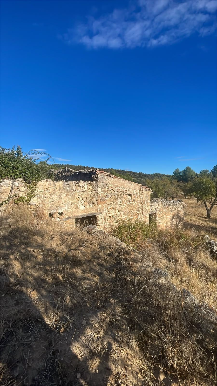 Land Fuentespalda (4)