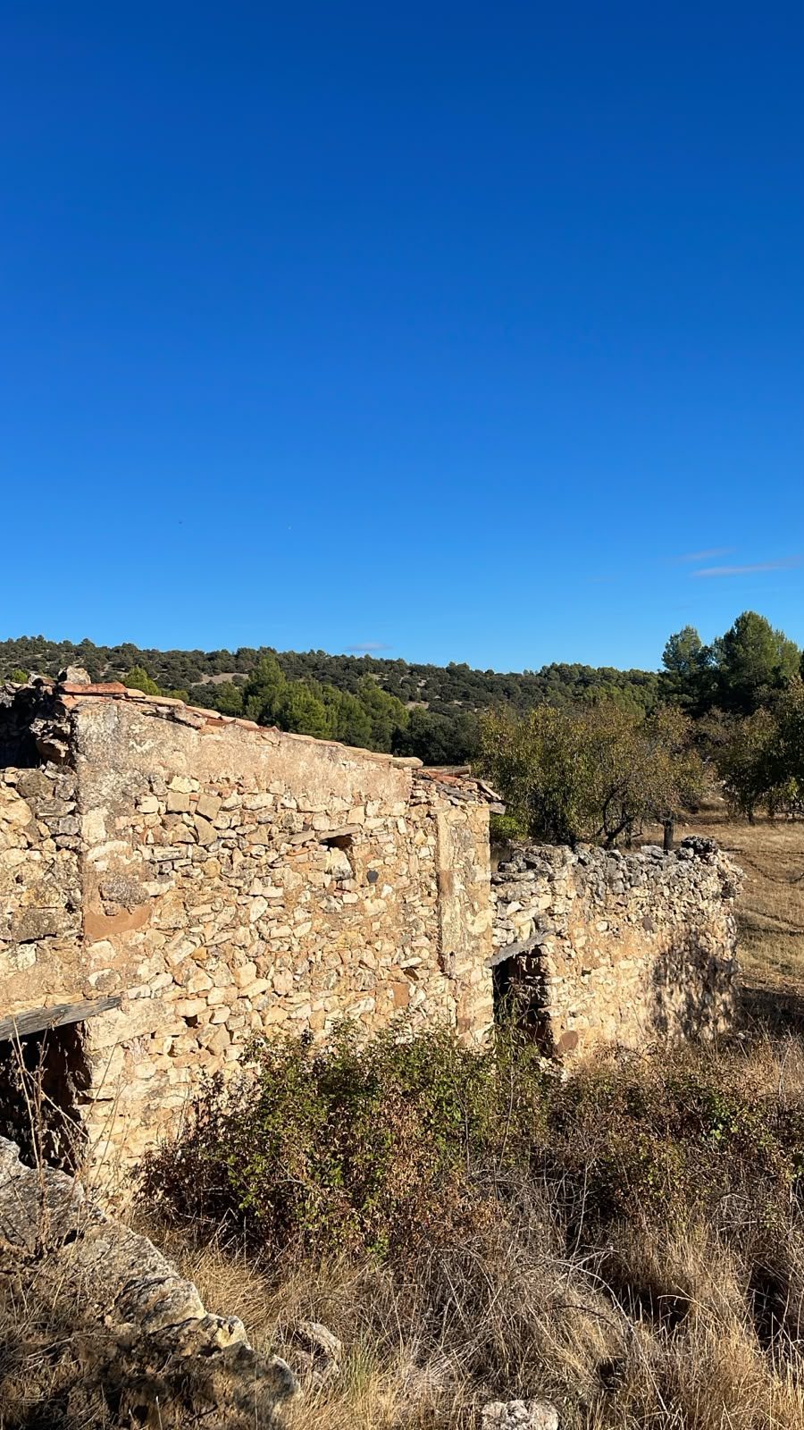 Land Fuentespalda (5)