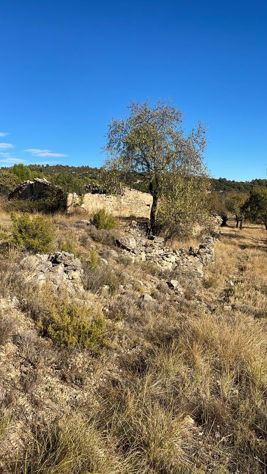 Land Fuentespalda (6)