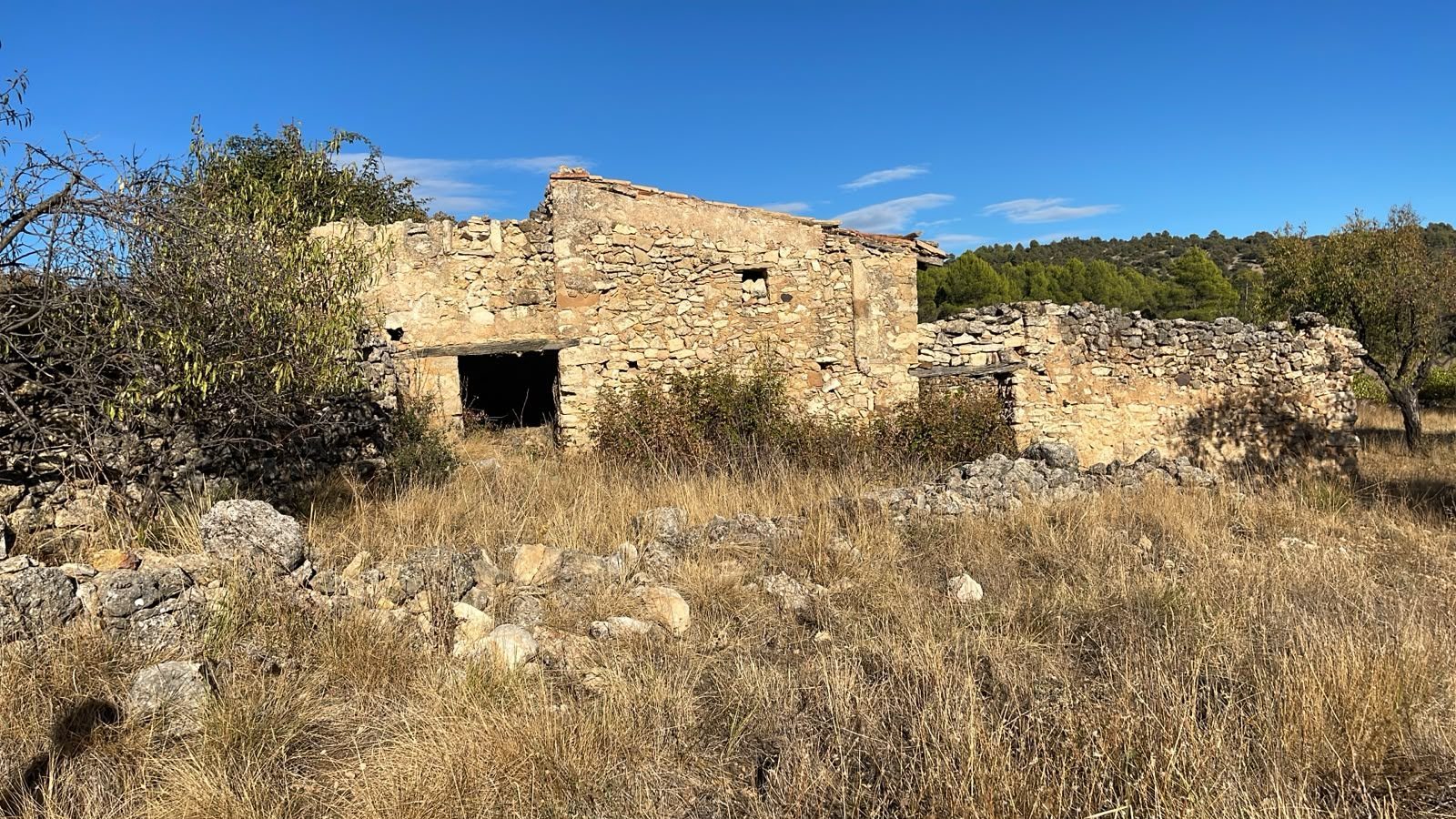 Land Fuentespalda (7)