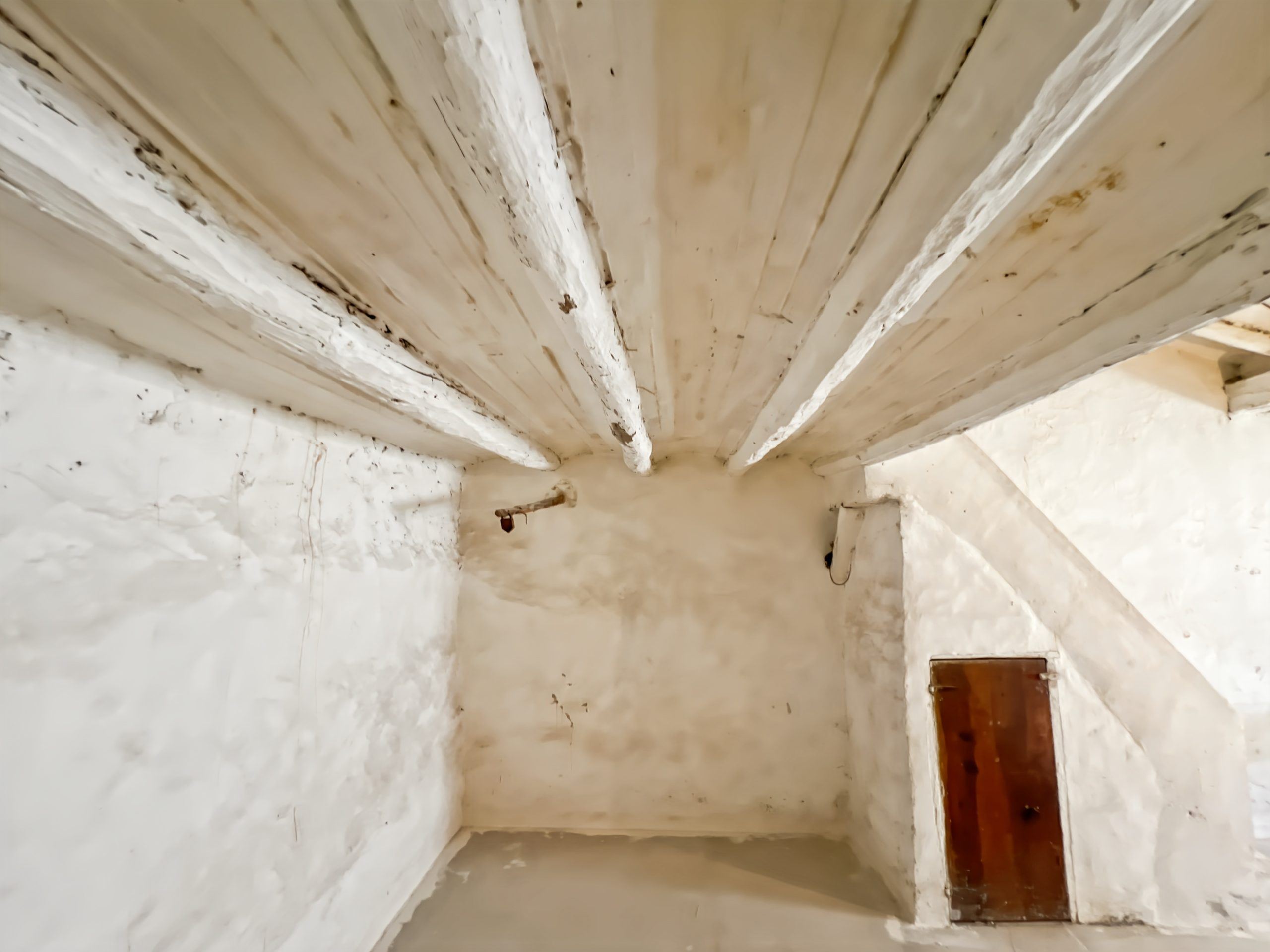 Town House Lucena Del Cid (39)
