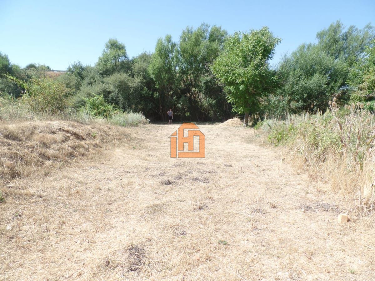 Terreno en Calle Poligono 3 Parcela 1513 (Vega de Infanzones)
