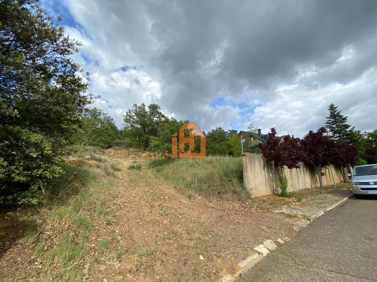 Terreno en Calle Urbanizacion Los Acebos, 41 (Carbajal de la Legua)