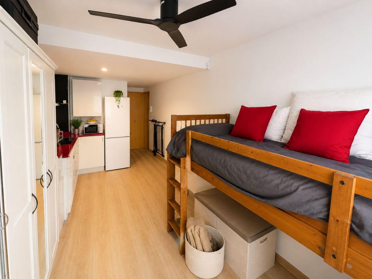Acogedor loft reformado con ascensor y mucha luz natural