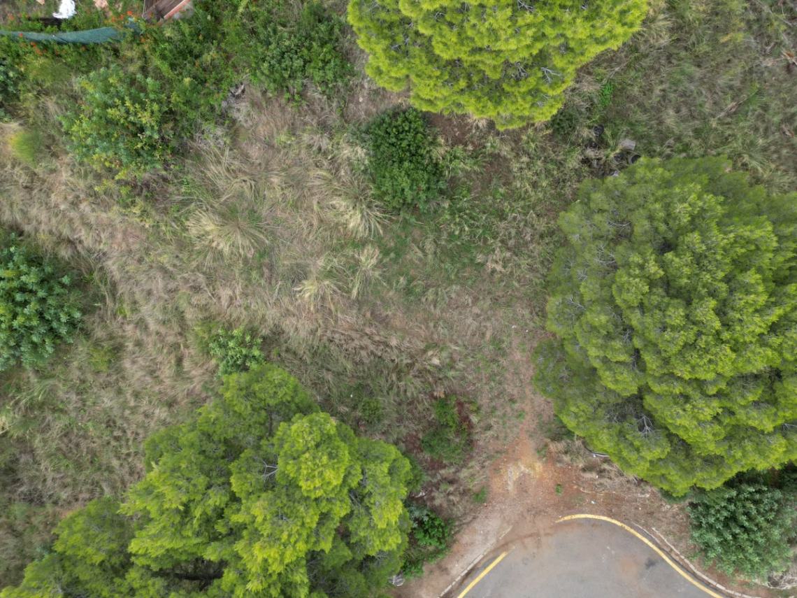 TERRENO URBANO EDIFICABLE DE 721 M² CON ESPECTACULARES VISTAS EN SANTA SUSANNA