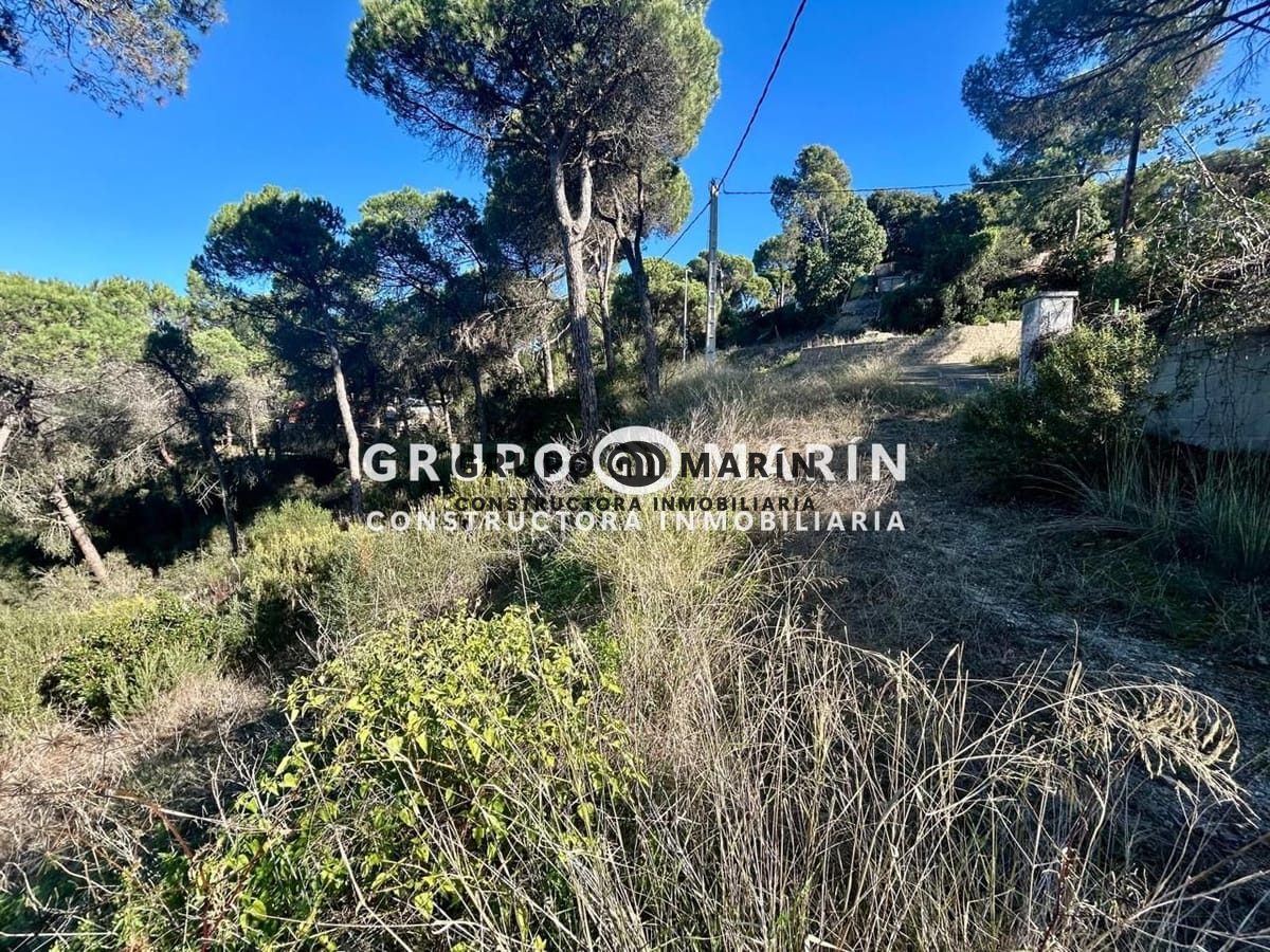 PARCELA URBANIZABLE EN LA PINEDA - Foto 4