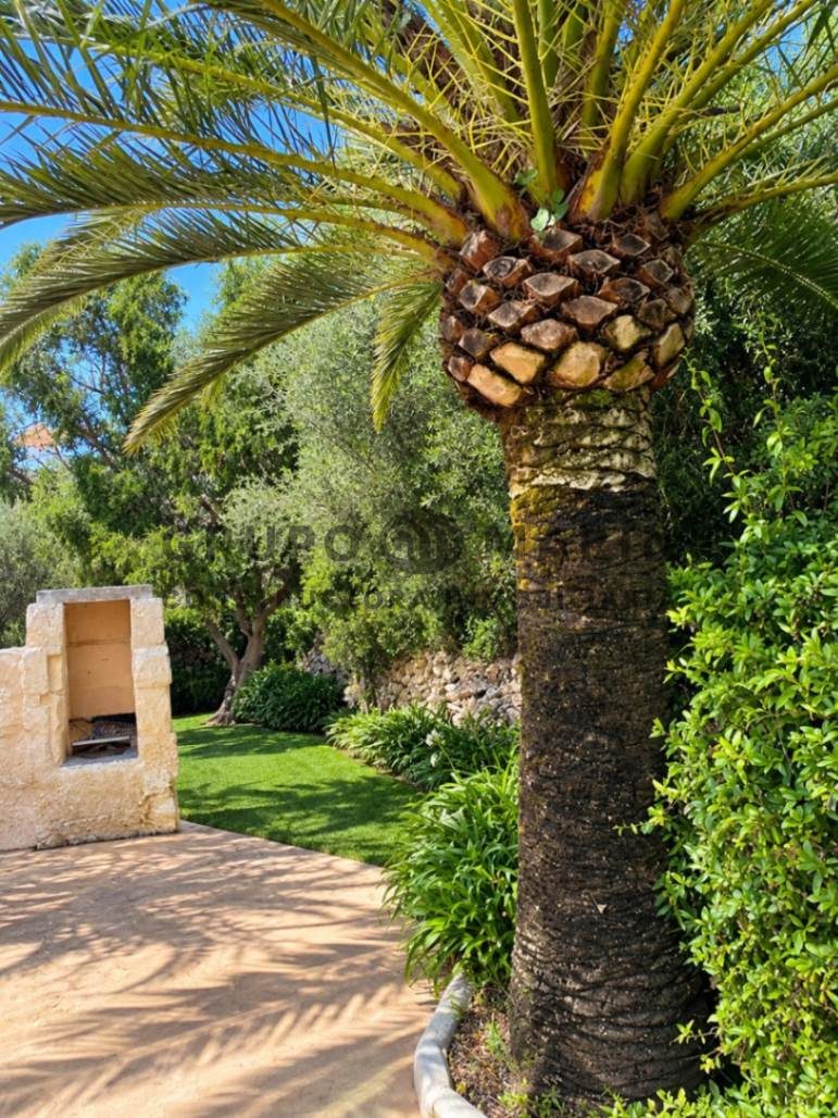 GRUPO MARIN presenta EN EXCLUSIVA vivienda unifamiliar situada en Trebalúger, Es Castell (Menorca) - Foto 14