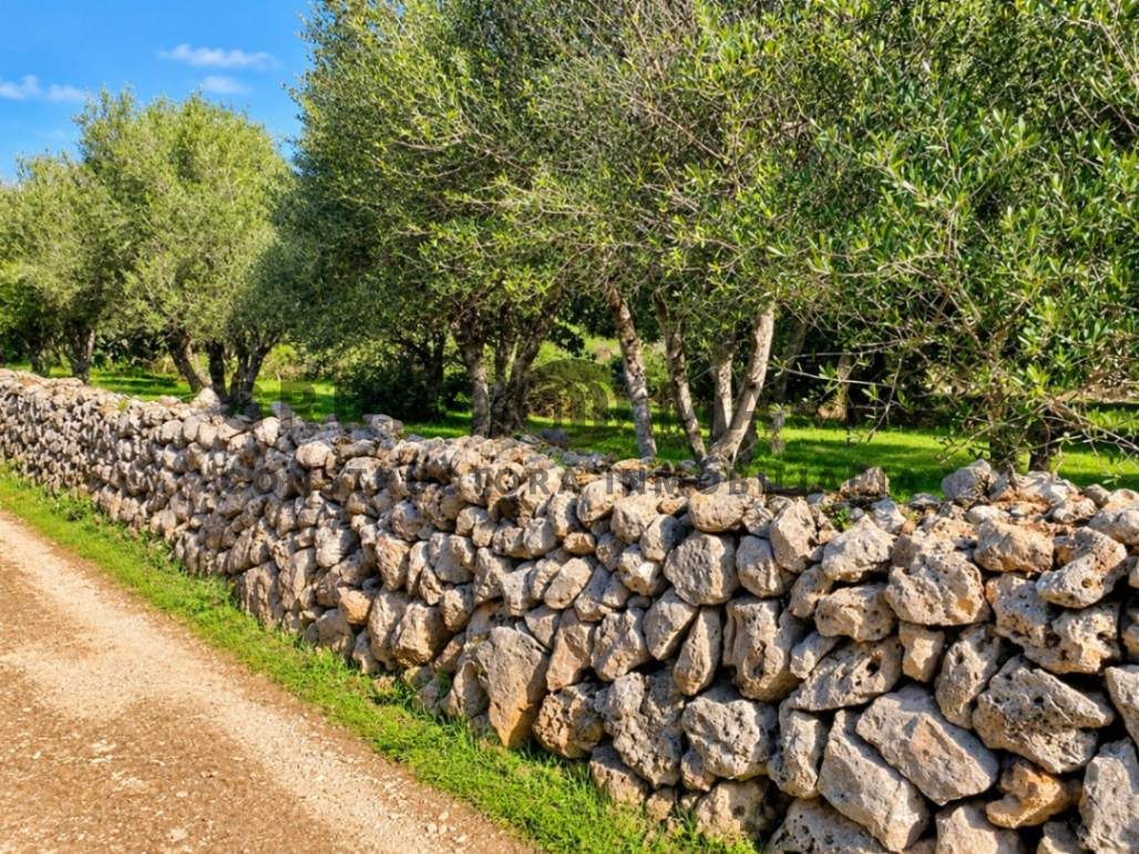 GRUPO MARIN presenta EN EXCLUSIVA vivienda unifamiliar situada en Trebalúger, Es Castell (Menorca) - Foto 21