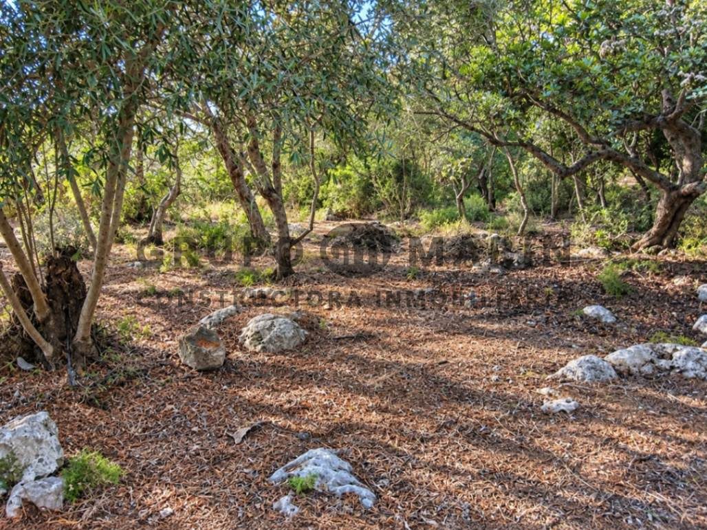 GRUPO MARIN presenta EN EXCLUSIVA vivienda unifamiliar situada en Trebalúger, Es Castell (Menorca) - Foto 24