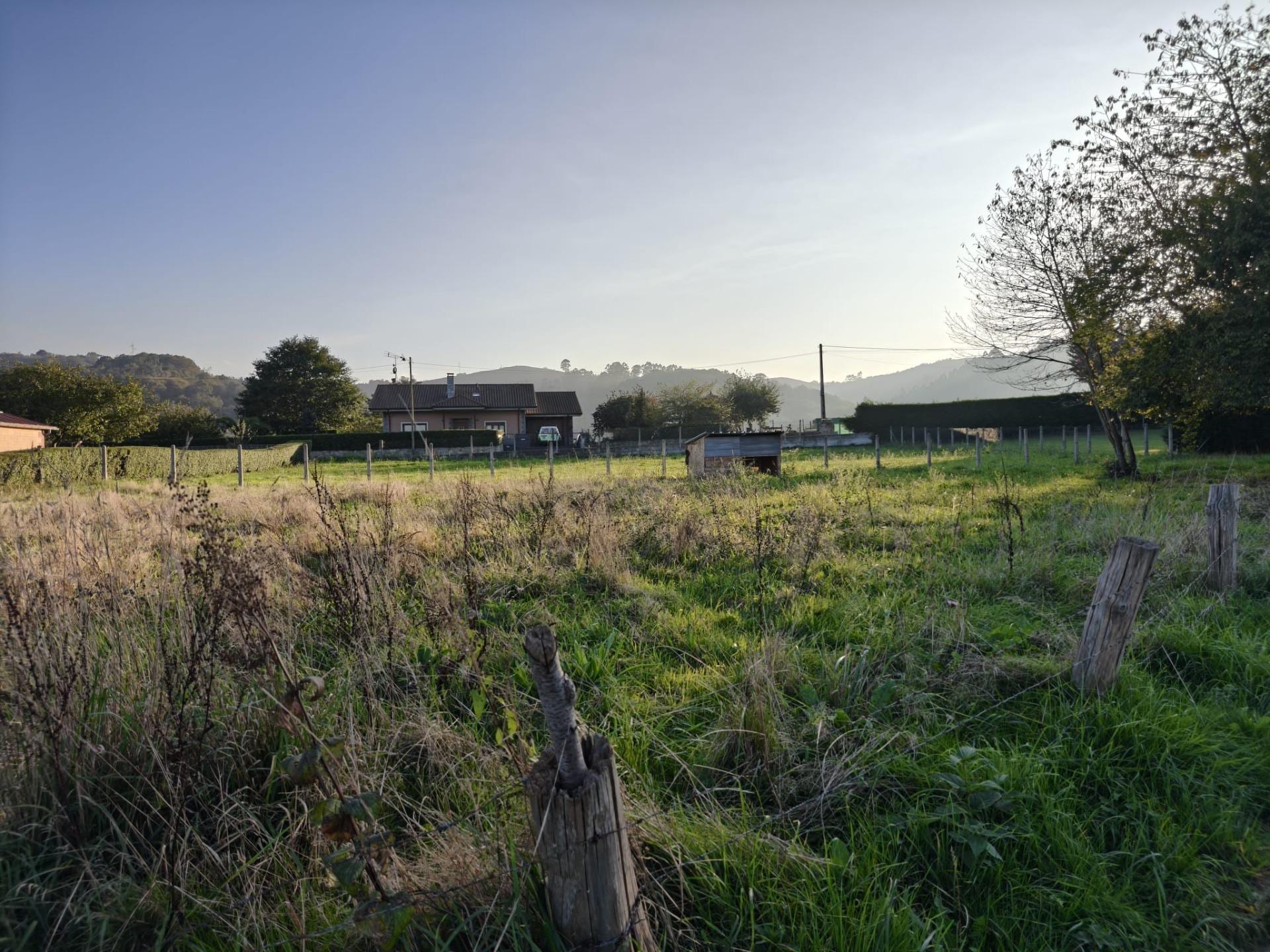 Finca con proyecto de edificación - Foto 16