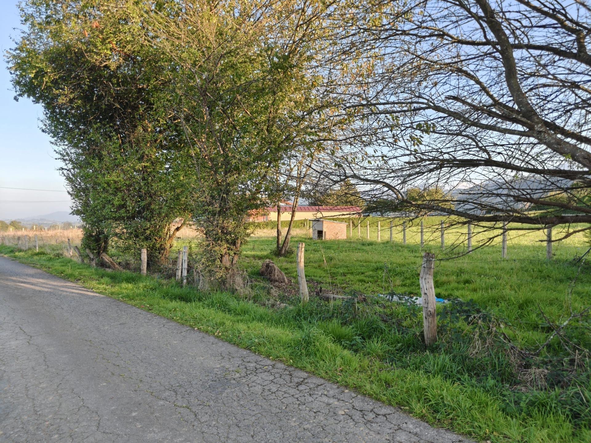 Finca con proyecto de edificación - Foto 20