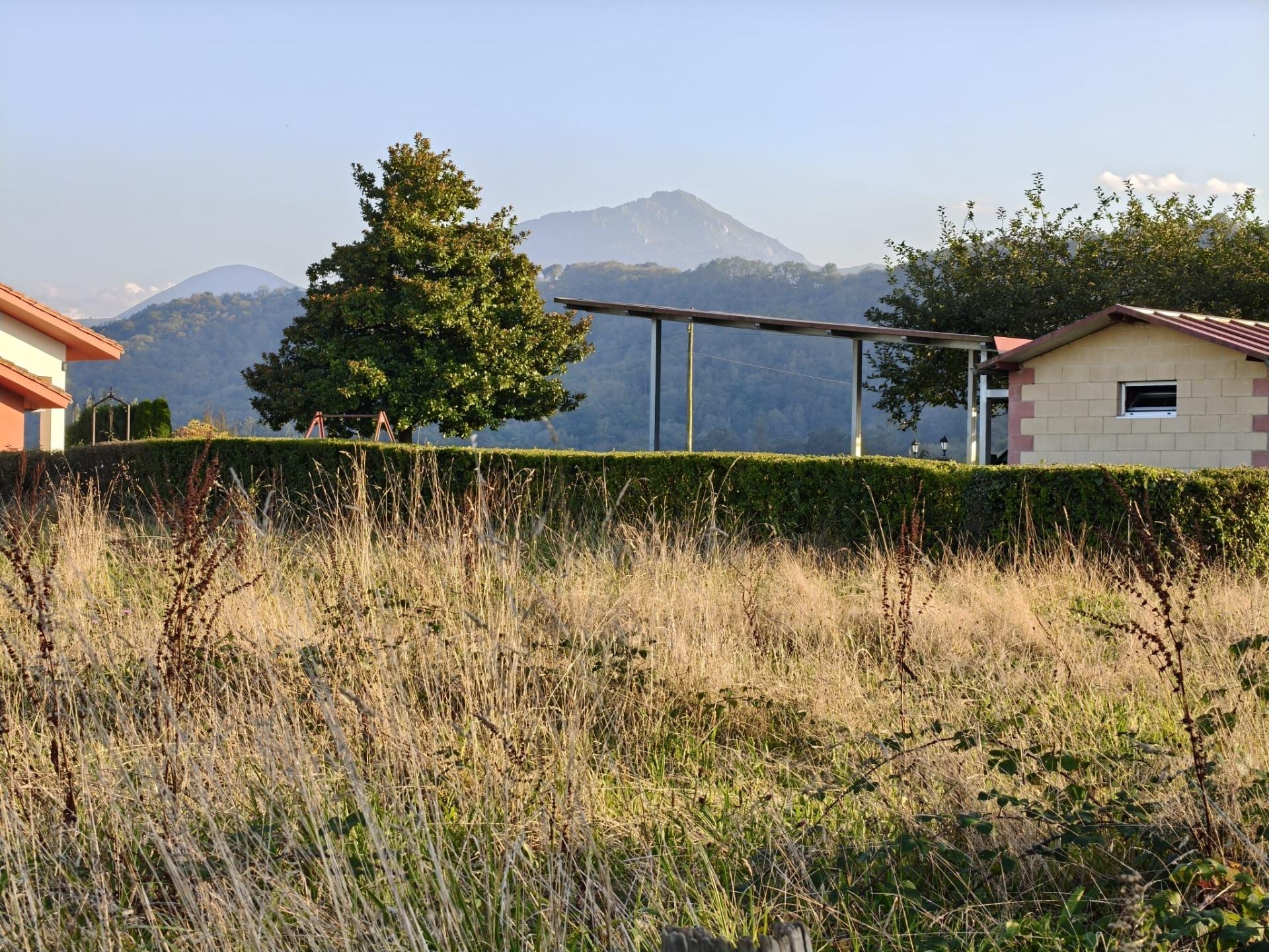 Finca con proyecto de edificación - Foto 8