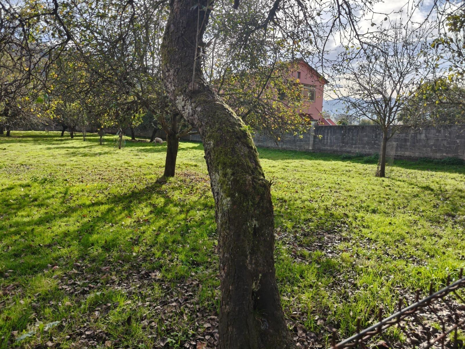 Casa de piedra a 10 minutos de Oviedo - Foto 39