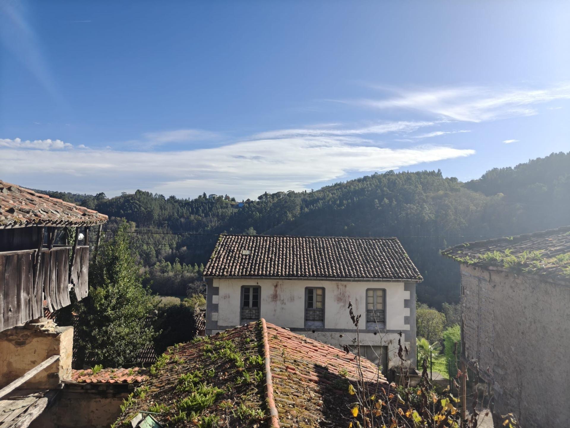 Casa tradicional de piedra y castaño en Salas - Foto 4