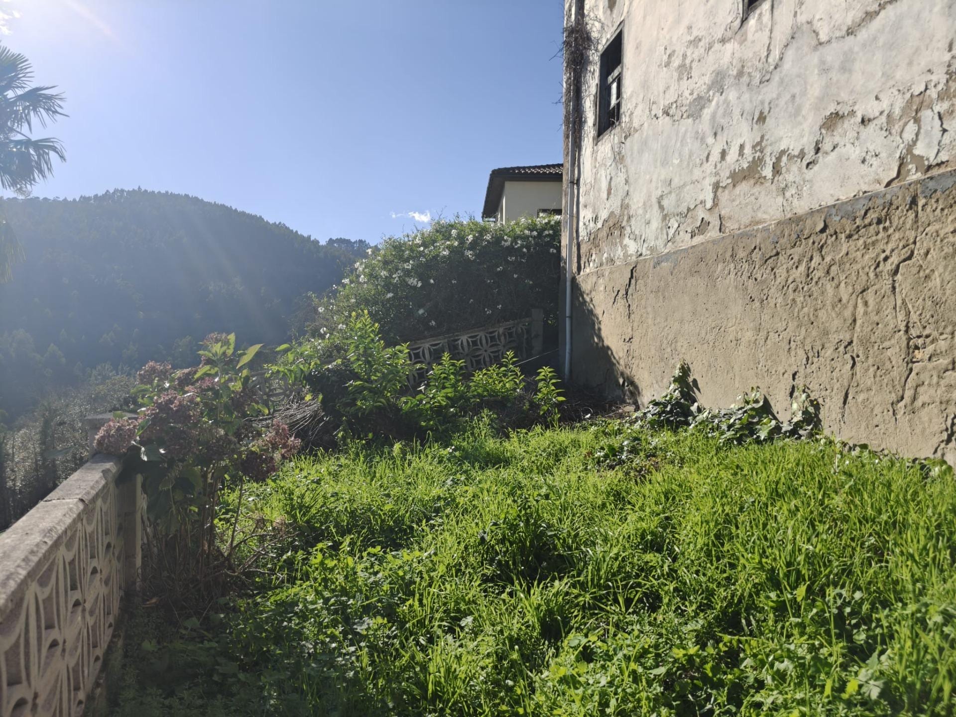 Casa tradicional de piedra y castaño en Salas - Foto 9
