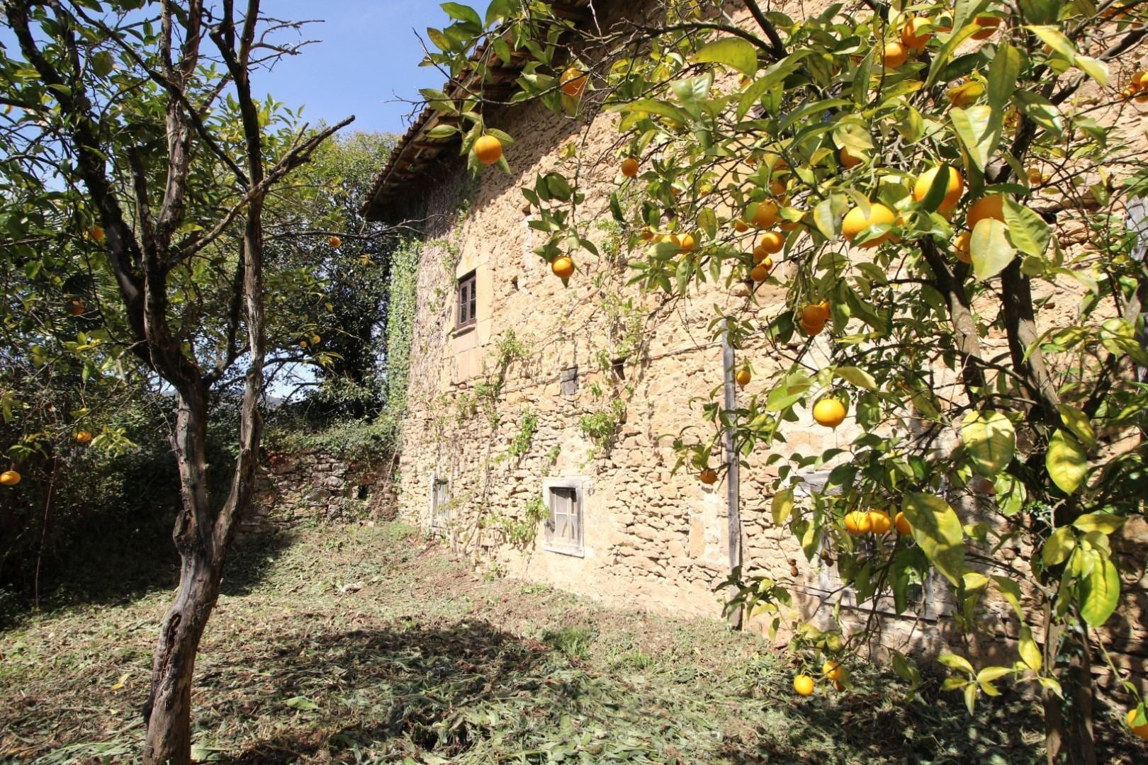 Palacio de las Dorigas - Foto 41