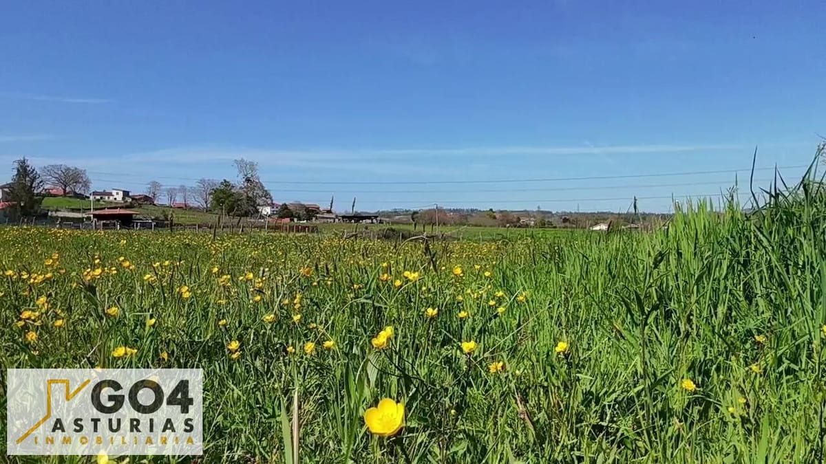 Finca edificable en Balbona, Siero