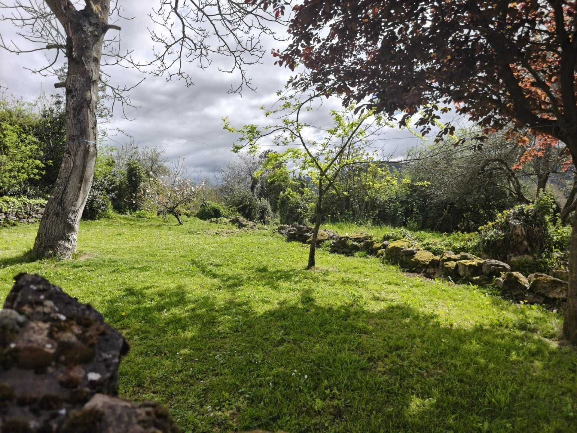 2 casas en 1 con jardín - Foto 14