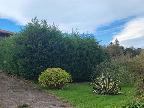 5 Casas cerca del mar en Llanes - Foto 51