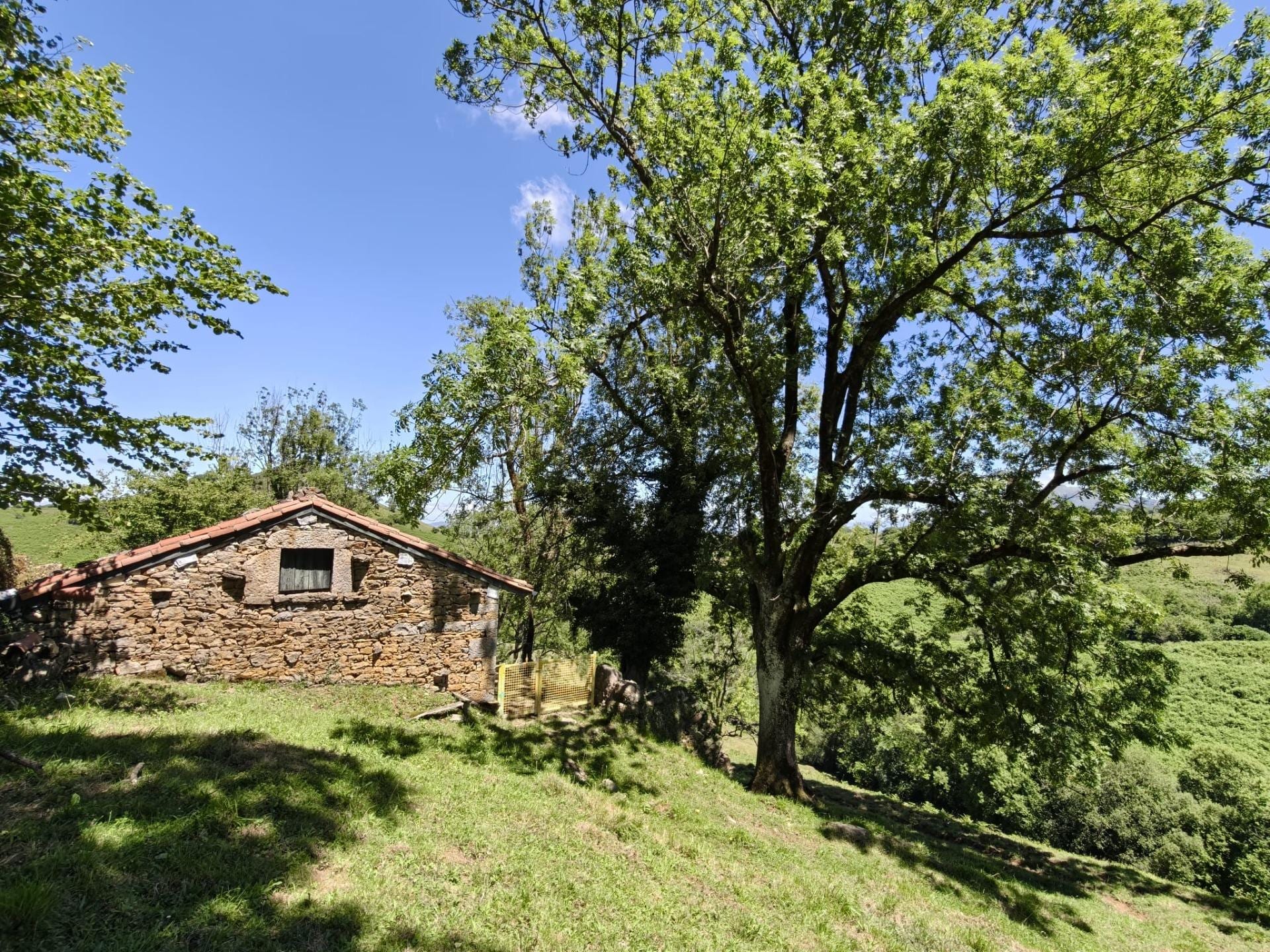 14 Hectáreas con 4 cabañas en el Paraíso - Foto 26
