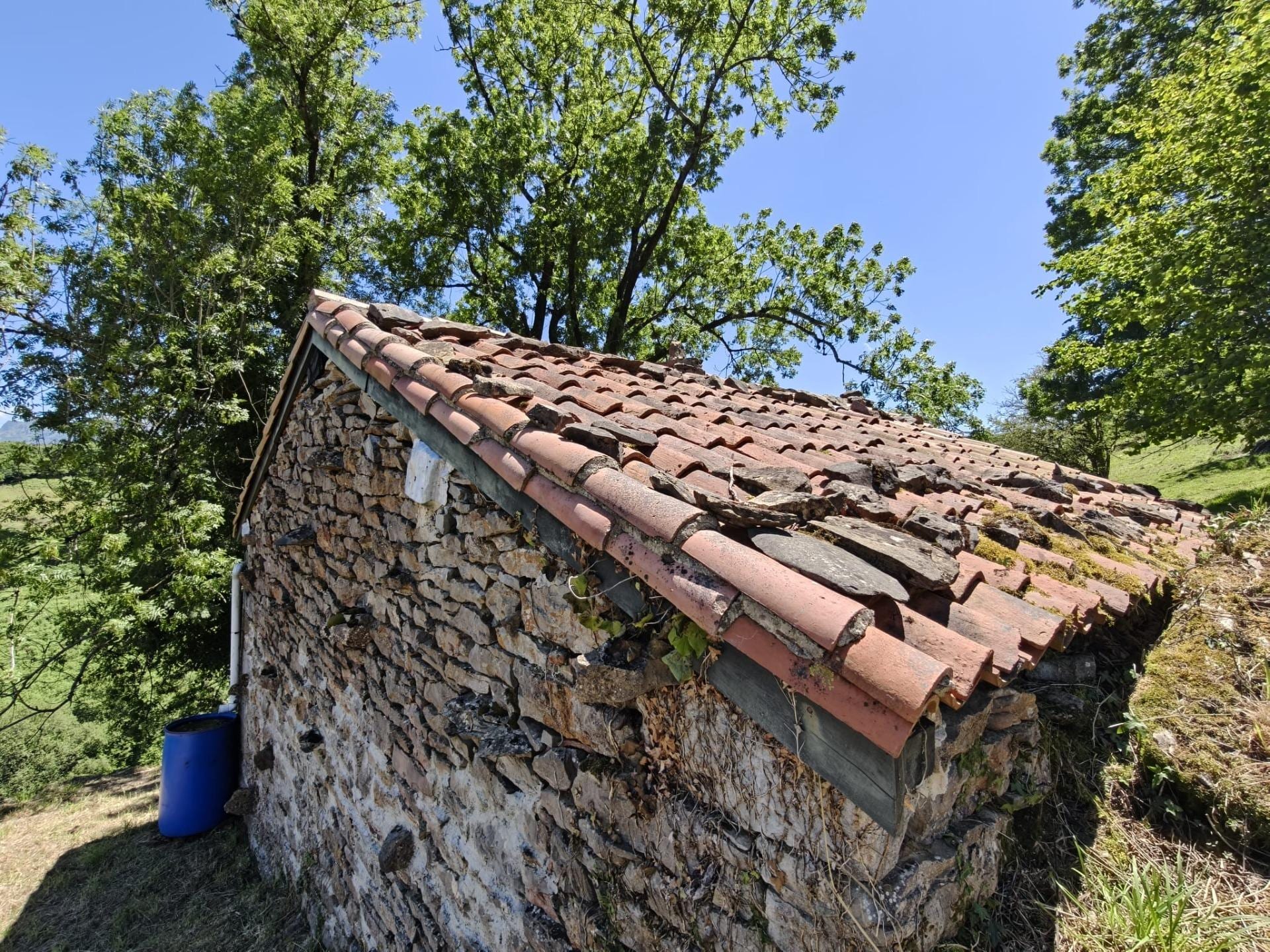 14 Hectáreas con 4 cabañas en el Paraíso - Foto 33