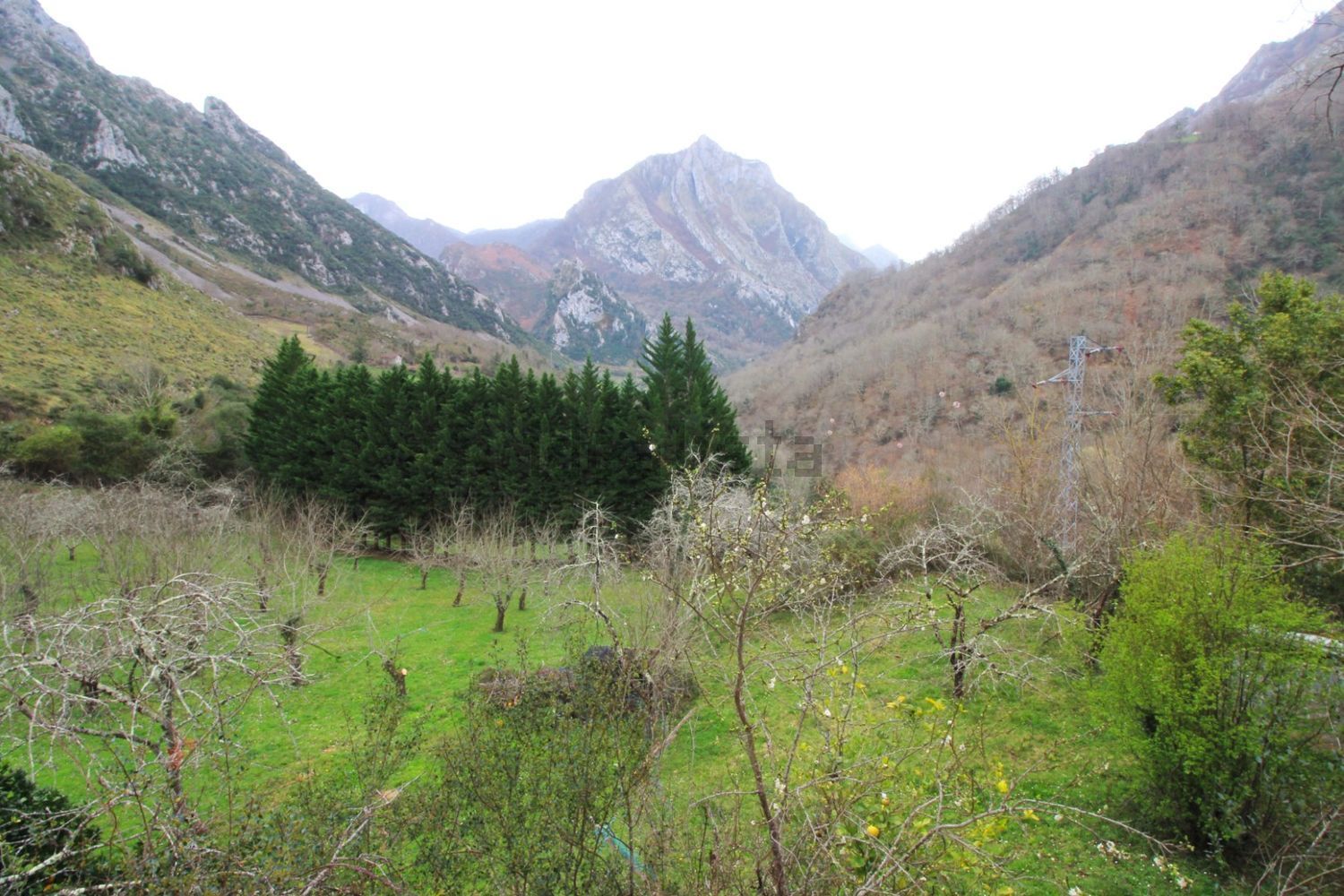 Casa con 5.522 m² de terreno y vistas a la montaña | Amieva - Foto 11