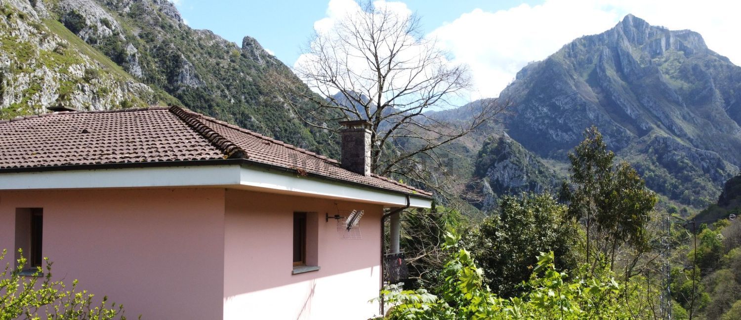 Casa con 5.522 m² de terreno y vistas a la montaña | Amieva - Foto 4