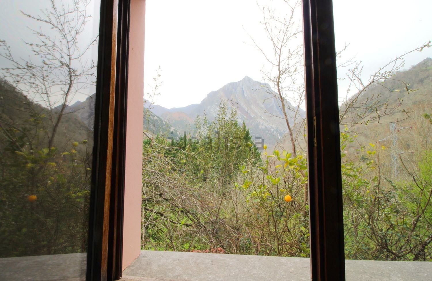 Casa con 5.522 m² de terreno y vistas a la montaña | Amieva - Foto 49