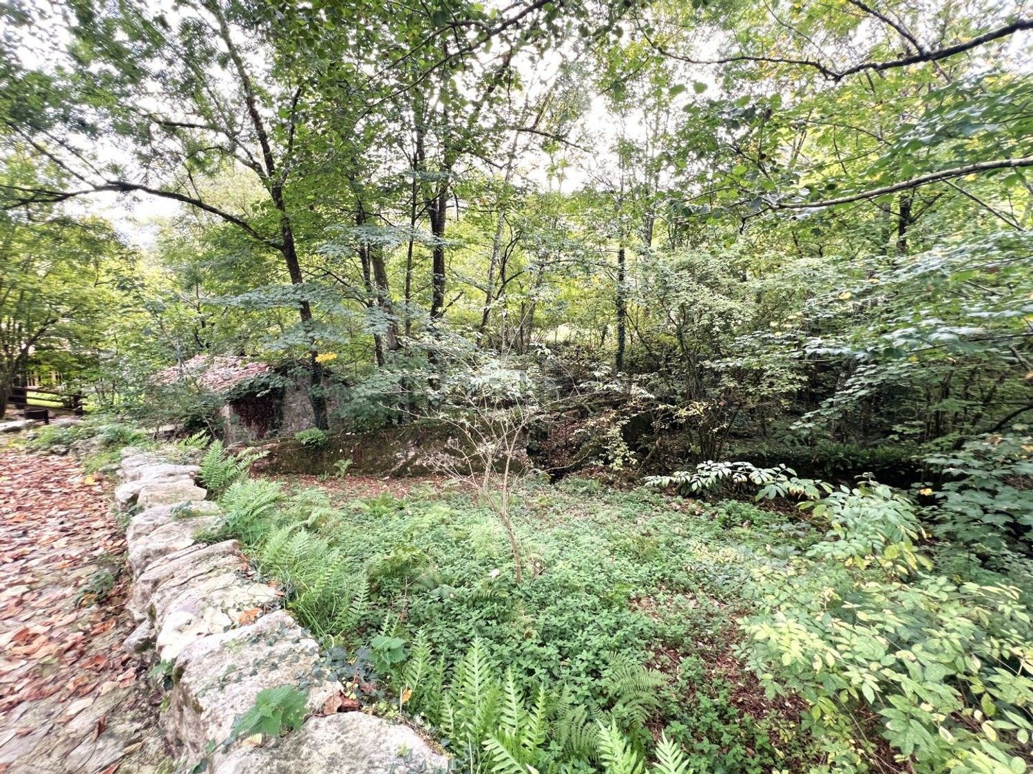 Casa con licencia vacacional en Peñamellera, Asturias - Foto 37