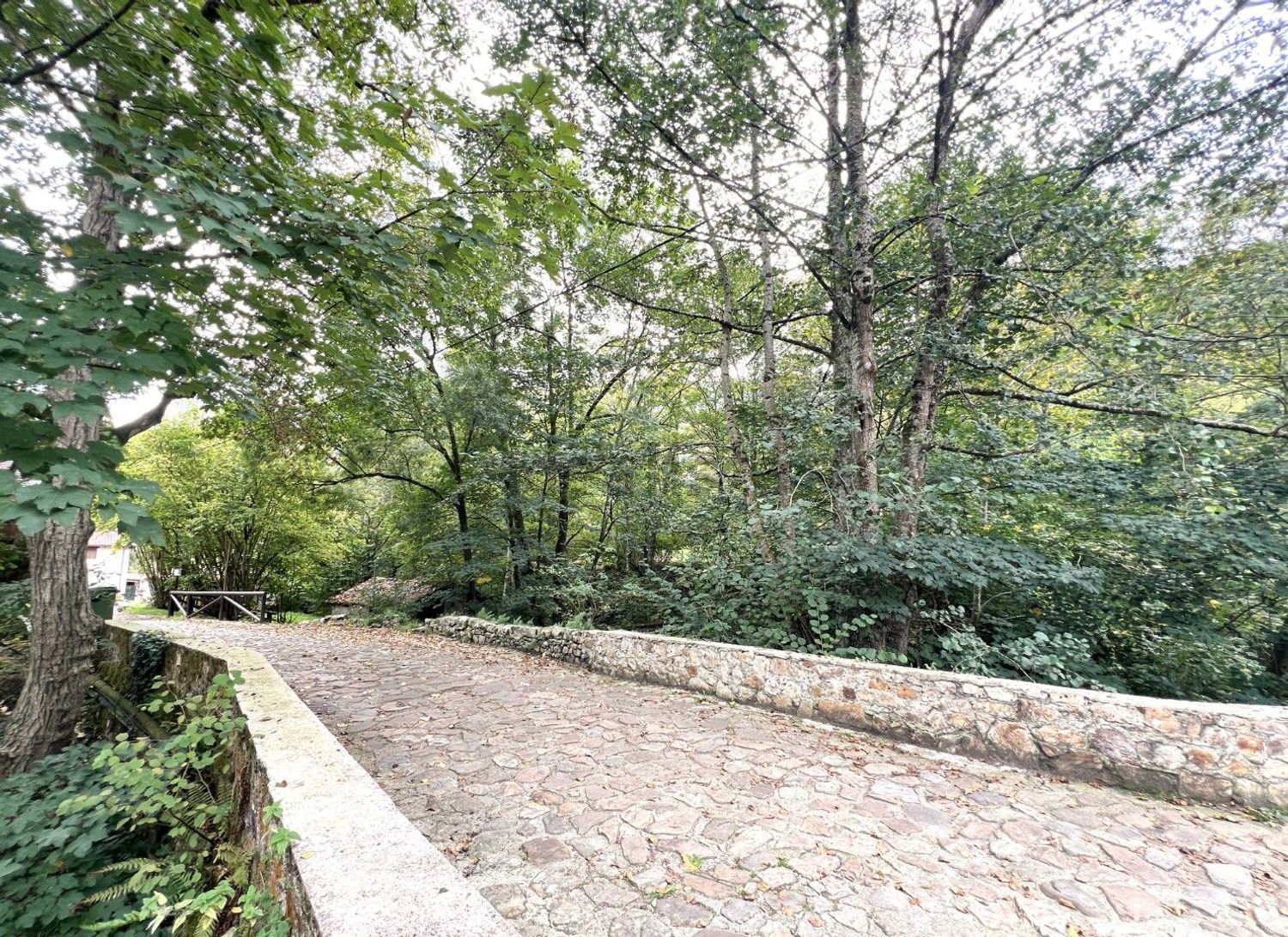 Casa con licencia vacacional en Peñamellera, Asturias - Foto 38