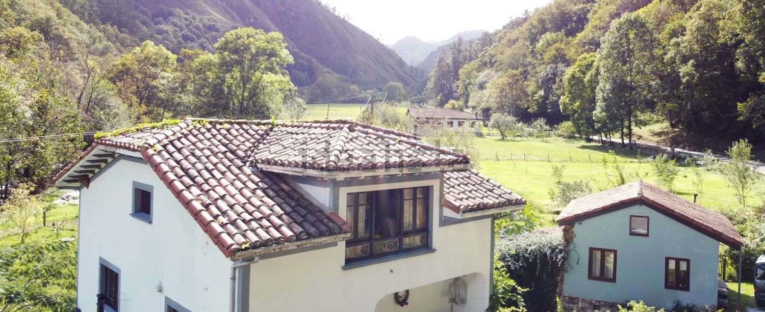 Dos casas reformadas con 1,7 hectáreas, molino y finca para caballos | Espinaredo, Piloña - Foto 8