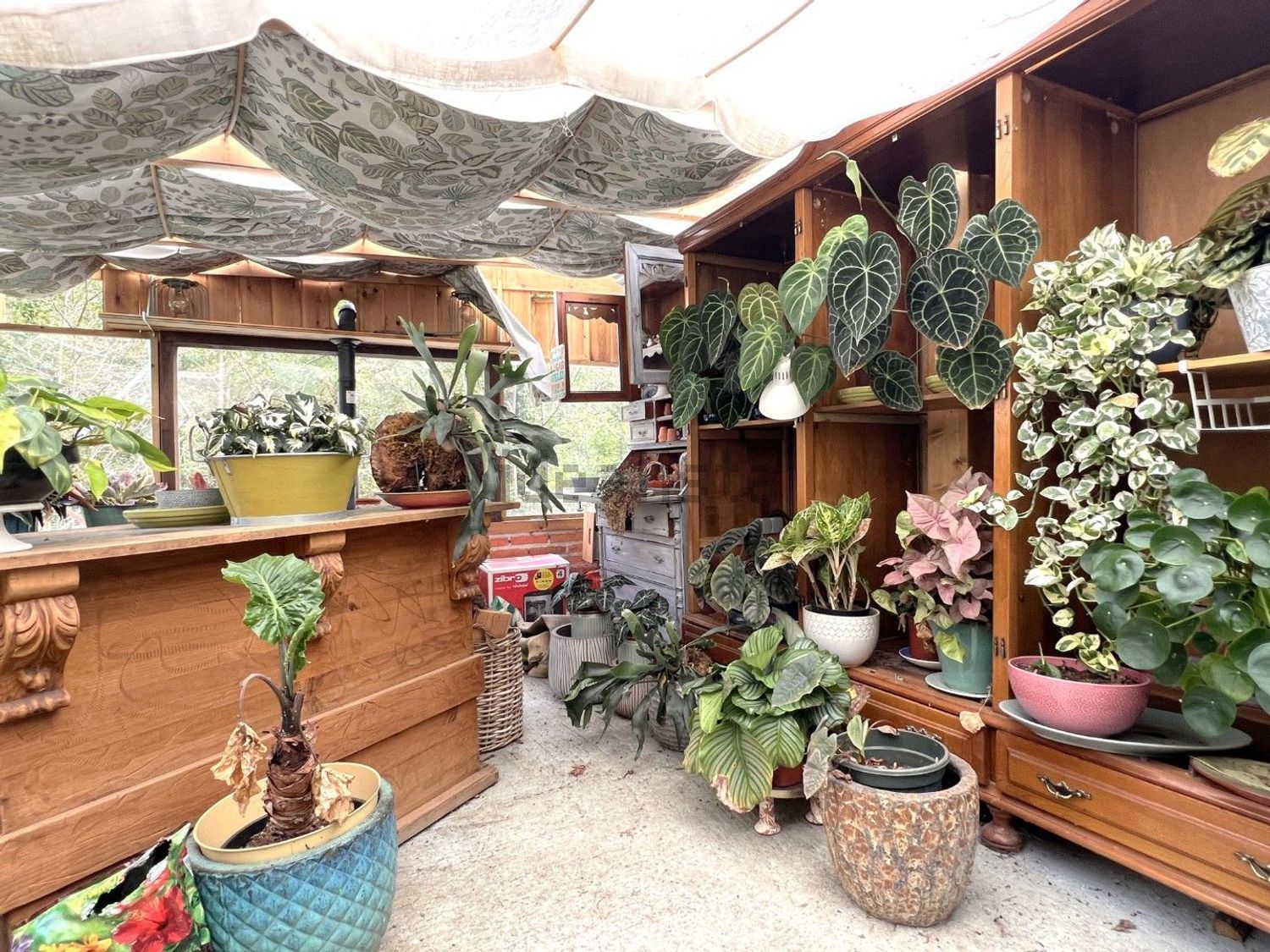Dos casas reformadas con 1,7 hectáreas, molino y finca para caballos | Espinaredo, Piloña - Foto 29