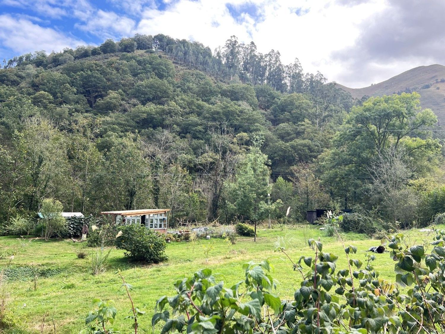 Dos casas reformadas con 1,7 hectáreas, molino y finca para caballos | Espinaredo, Piloña - Foto 36