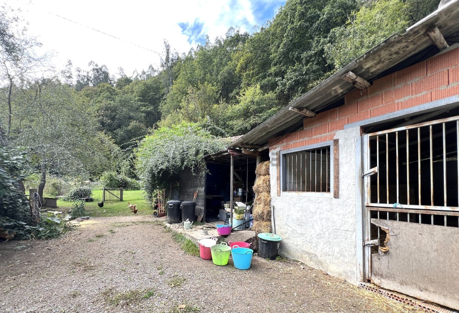 Dos casas reformadas con 1,7 hectáreas, molino y finca para caballos | Espinaredo, Piloña - Foto 40