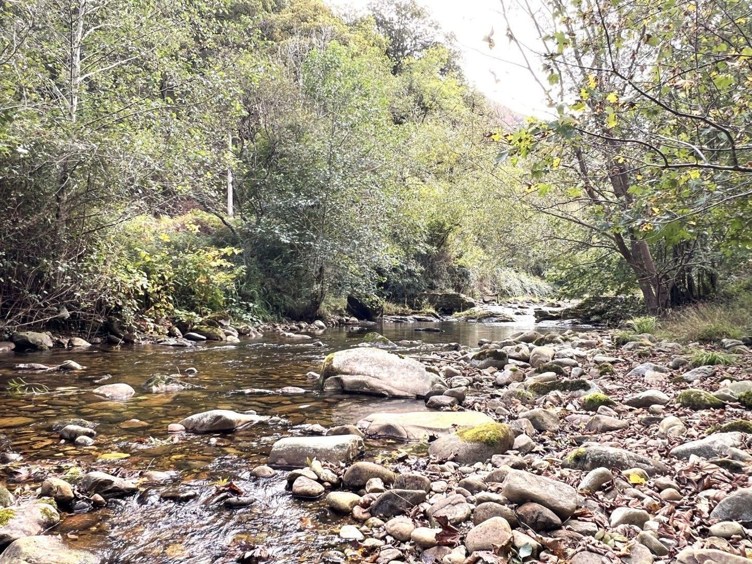 Dos casas reformadas con 1,7 hectáreas, molino y finca para caballos | Espinaredo, Piloña - Foto 14