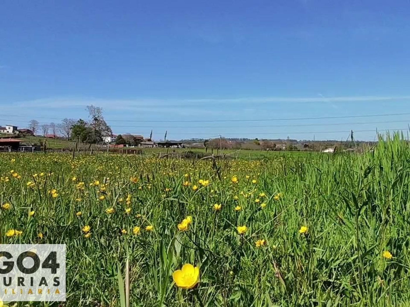 Terrenos