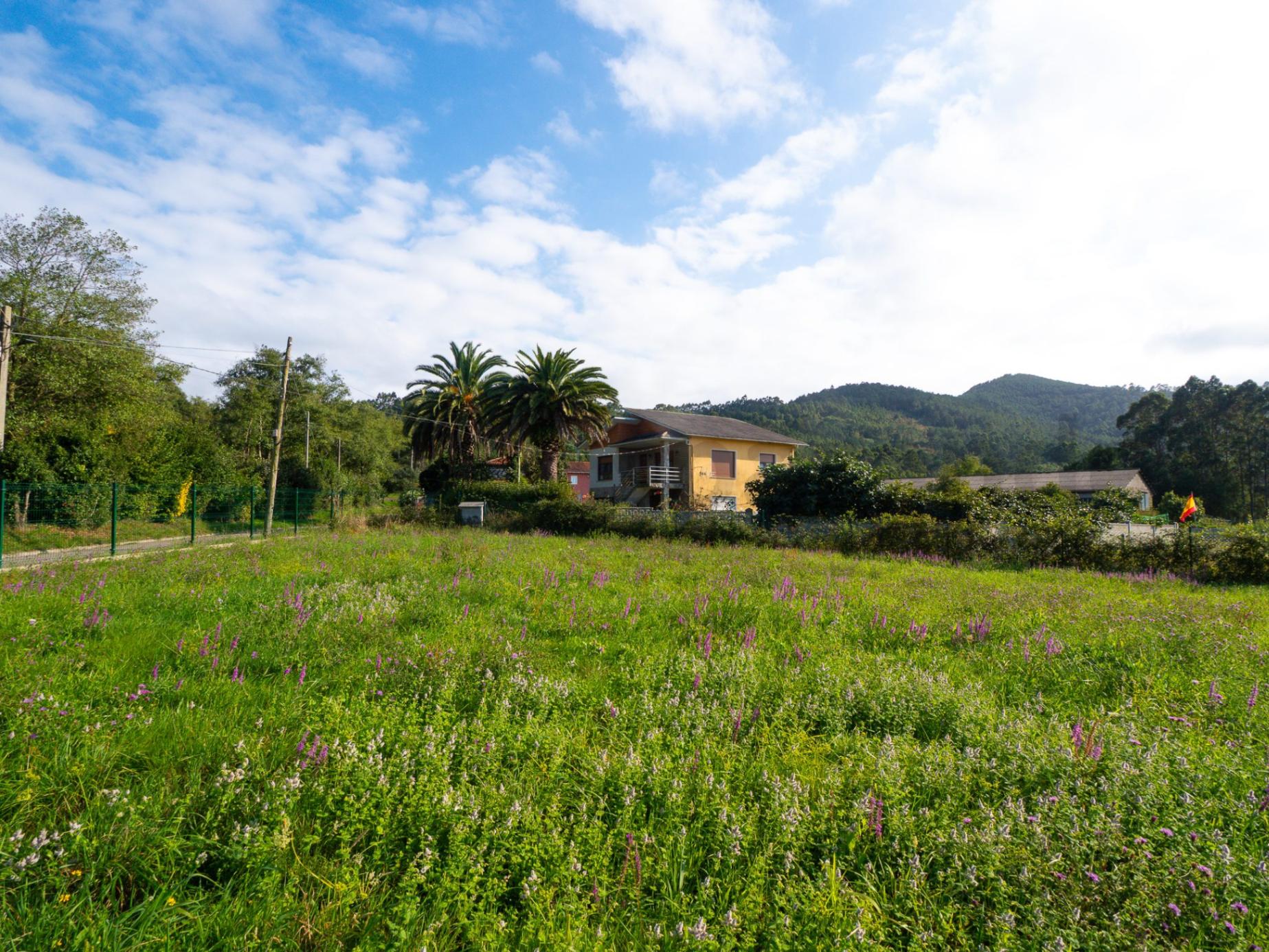Venta Terrero Edificable Santa Marina Cudillero - Foto 9