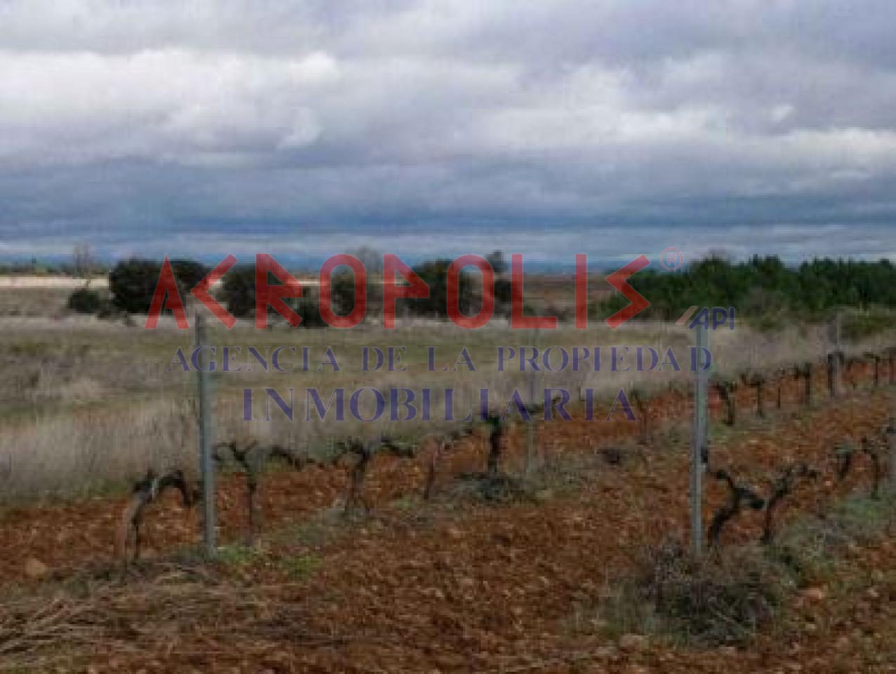 VENTA DE SOLAR EN CHOZAS DE ABAJO