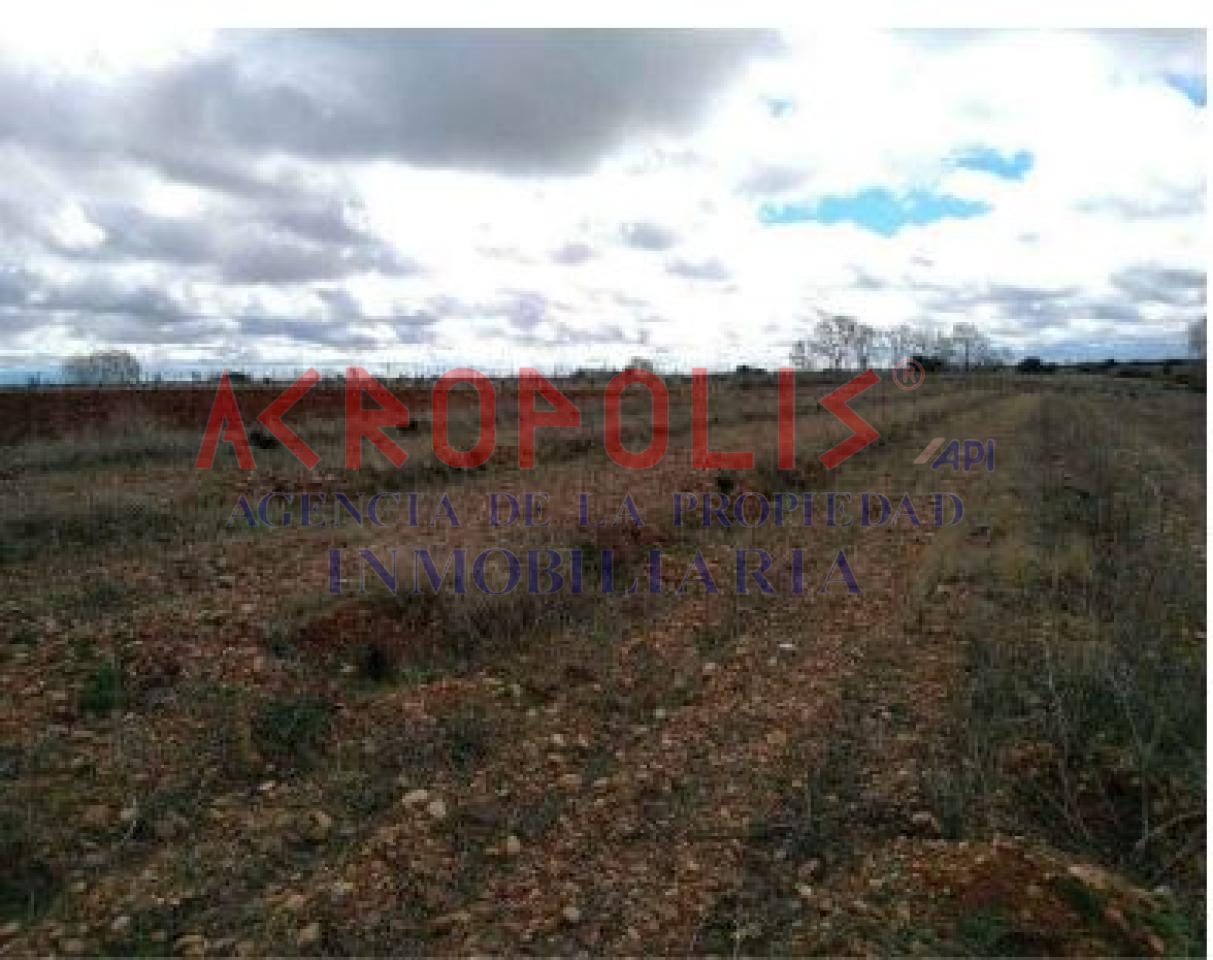 VENTA DE SOLAR EN CHOZAS DE ABAJO