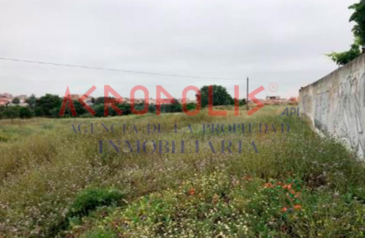 VENTA DE SOLAR EN ZAMORA