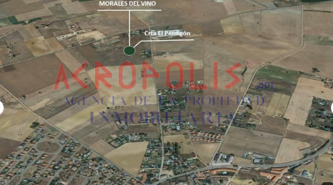 VENTA DE TERRENO EN MORALES DEL VINO, ZAMORA