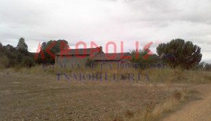 Solar en Polígono 501 Parcela 193 LAS DIBUJAS. BENAVENTE (ZAMORA) (Benavente)