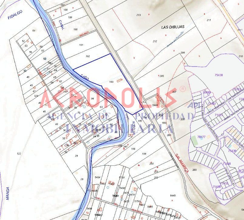 Solar en Polígono 501 Parcela 193 LAS DIBUJAS. BENAVENTE (ZAMORA) (Benavente)