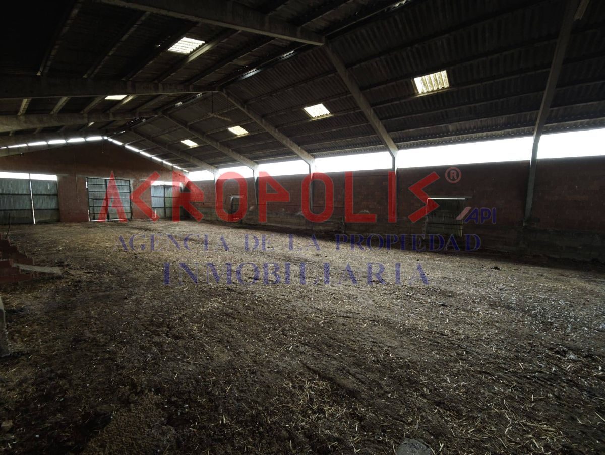 Nave industrial en Polígono 1 Parcela 335 el Burro. San Cristobal de Entreviñas (zamora)