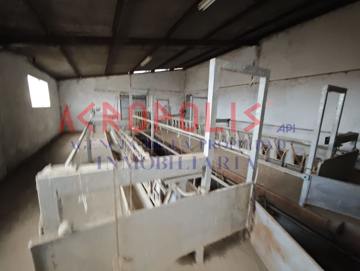 Nave industrial en Polígono 1 Parcela 335 el Burro. San Cristobal de Entreviñas (zamora)