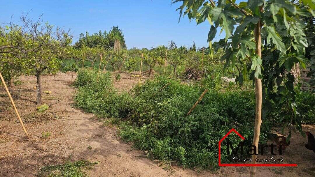 Finca rústica con alquería y 2.935 m² de terreno - Foto 3